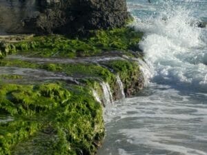 The ocean, photographed on the way home from a mission trip to Cancun